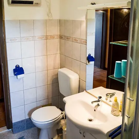 Zoja Pinezići